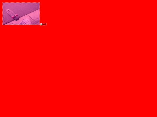 photo screenshot