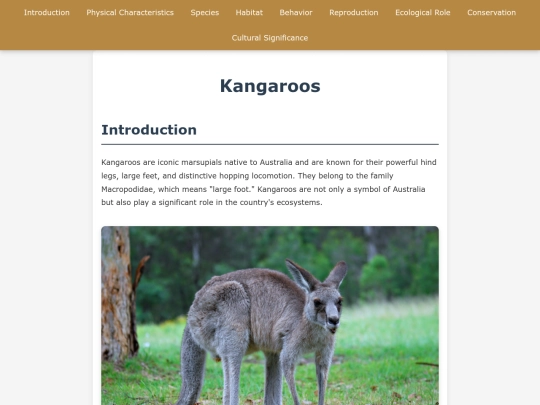 kangaroos screenshot