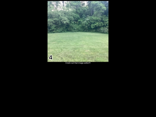 1/4 screenshot
