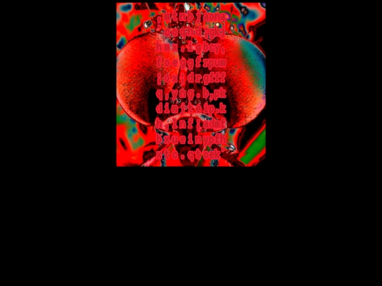 4worlds4levels/four/fennecfox/entomophobia screenshot