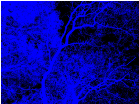 gloryoftrees screenshot
