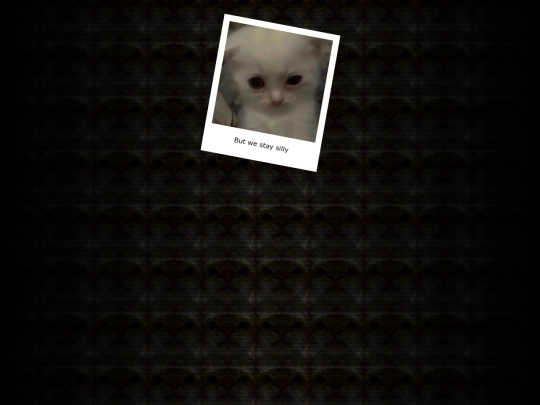 staysilly screenshot
