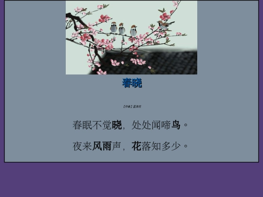html-all-page screenshot