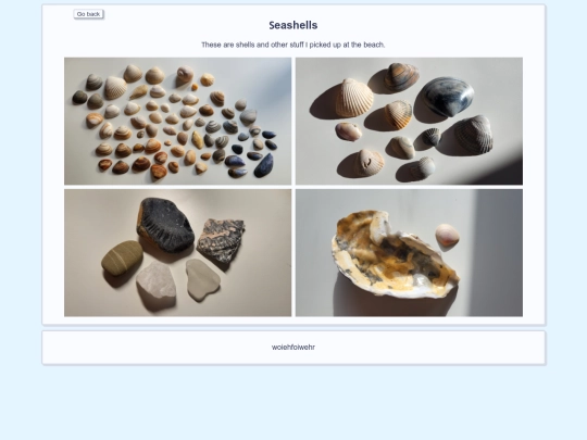 seashells screenshot