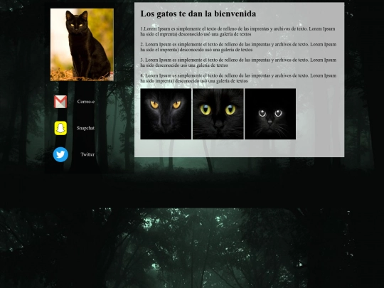 ejerciciogatos screenshot