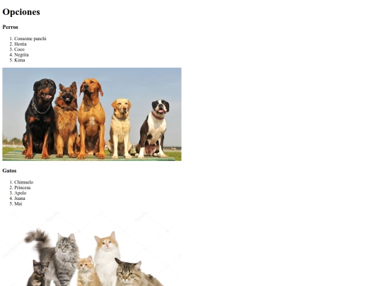 Adopción/listadeanimales screenshot