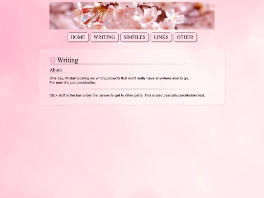 writing screenshot