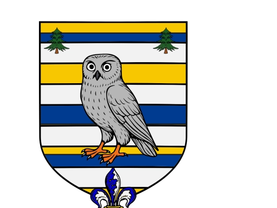 coa screenshot