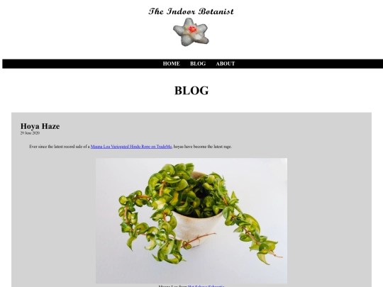 Blog screenshot
