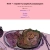 raspberrygem.neocities.org avatar