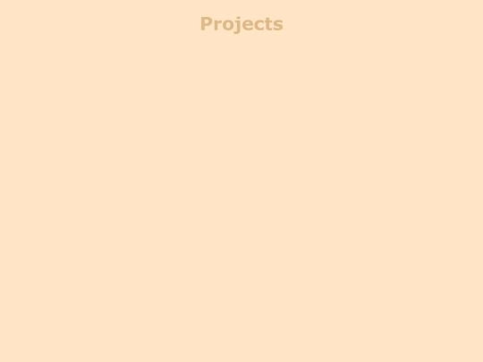 projects screenshot