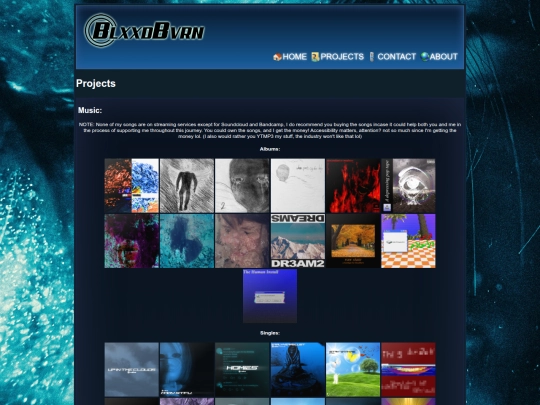 projects screenshot