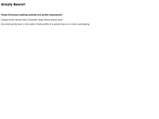 StarterGallery screenshot