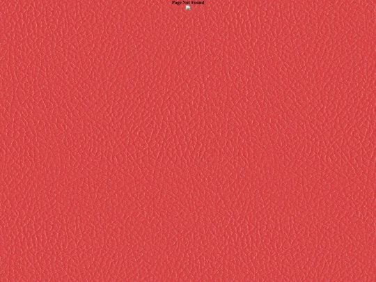 bloggy/posts/03-28-25-A-Wild-Ride-to-Reboot screenshot