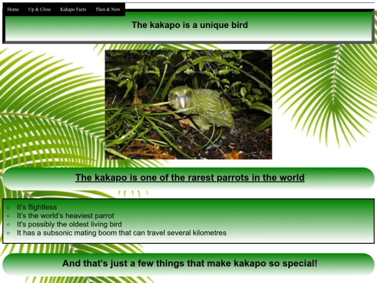 kakapo screenshot