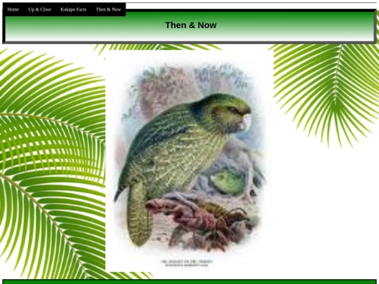 thenNnow screenshot