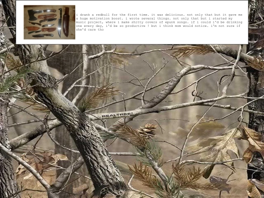 diary/2024/03/07 screenshot