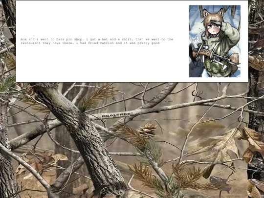 diary/2024/03/18 screenshot