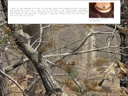 diary/2024/03/25 screenshot