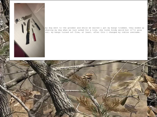 diary/2024/05/04 screenshot