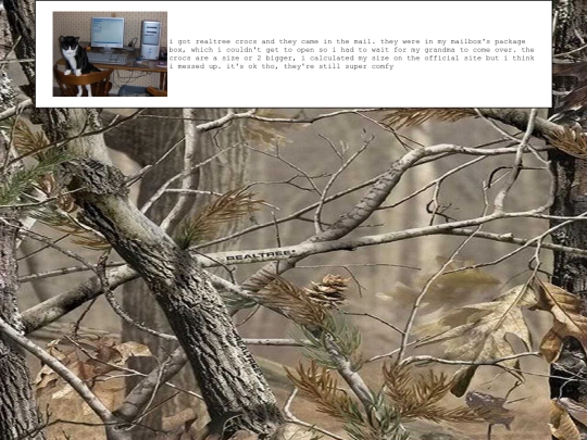 diary/2024/05/24 screenshot