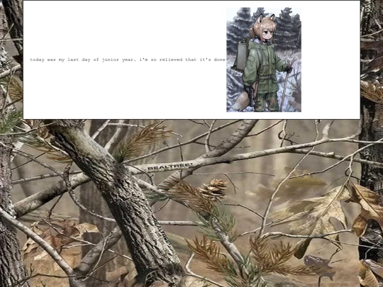 diary/2024/06/06 screenshot