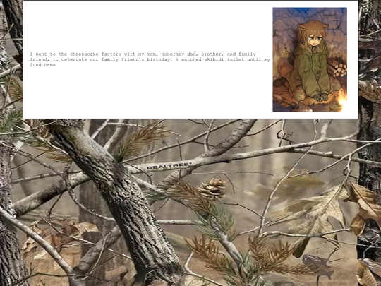 diary/2024/07/21 screenshot
