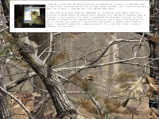 diary/2024/08/09 screenshot