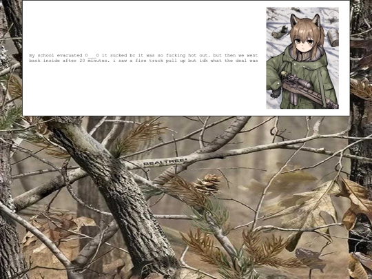diary/2024/08/19 screenshot