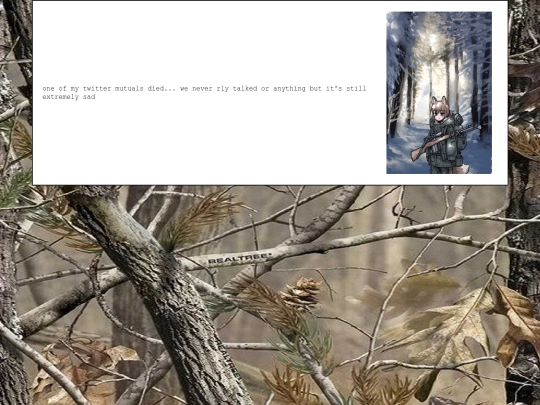 diary/2024/10/22 screenshot