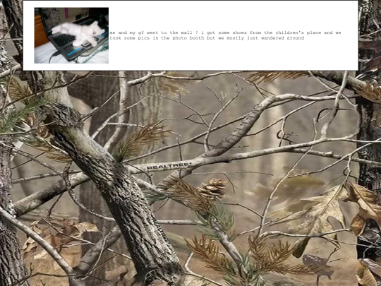 diary/2024/12/05 screenshot