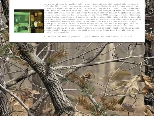 diary/2024/12/12 screenshot