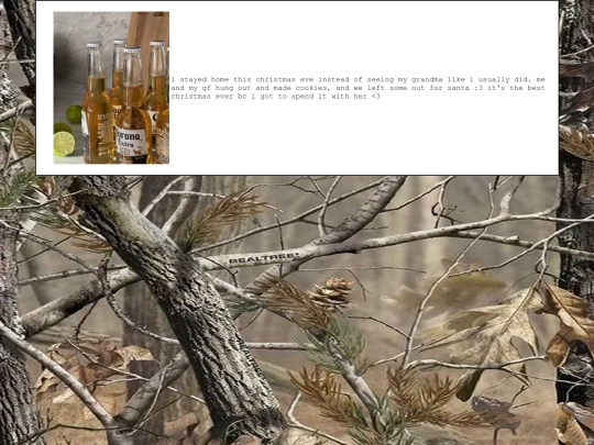 diary/2024/12/24 screenshot