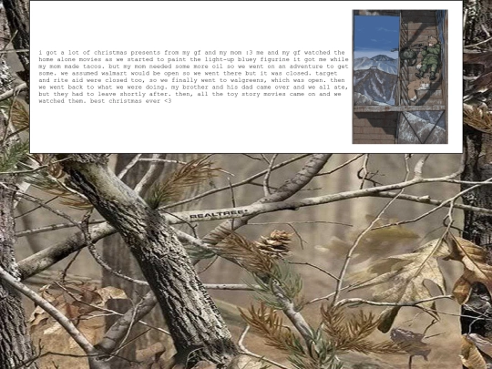 diary/2024/12/25 screenshot