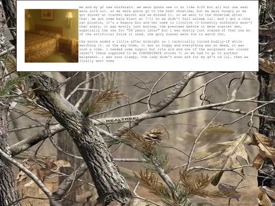 diary/2024/12/29 screenshot