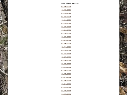 diary/2024 screenshot