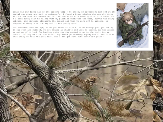 diary/2025/01/06 screenshot