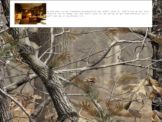 diary/2025/01/07 screenshot