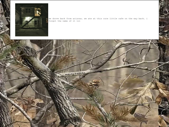 diary/2025/01/09 screenshot