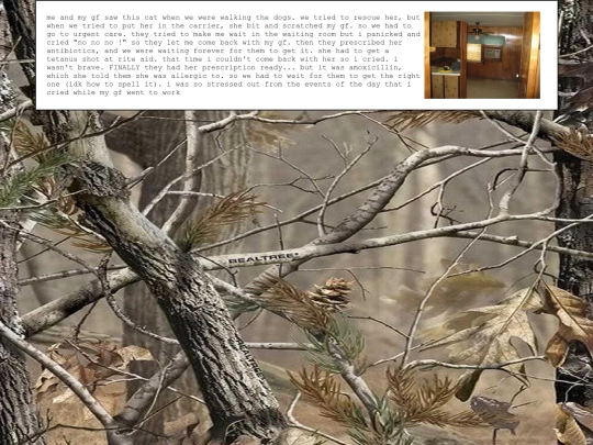 diary/2025/04/14 screenshot