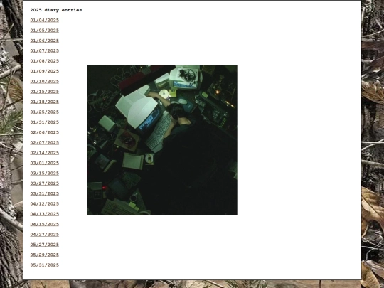 diary/2025 screenshot