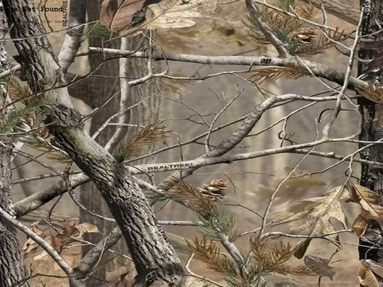 ocs/alberta_and_andrea screenshot