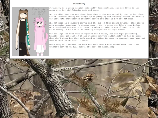 ocs/strawberry screenshot