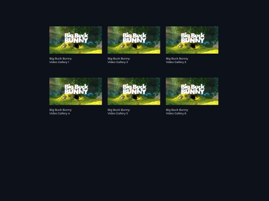 miscpages/videogallery screenshot