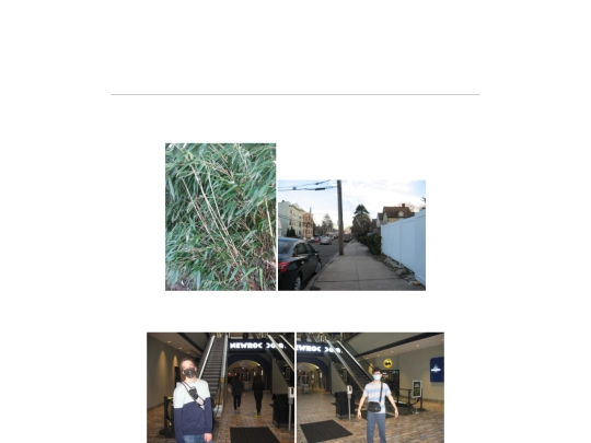 blog/2022/trampoline-park screenshot