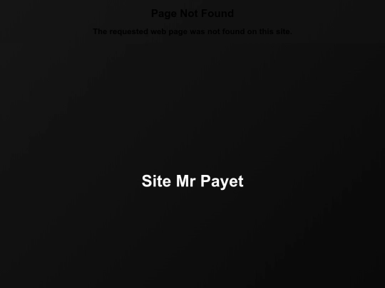 projet/ProjetPro/MonsieurPayet screenshot