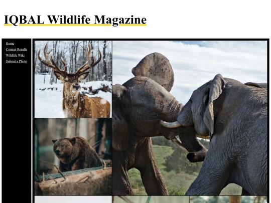 wildlife-image-galery screenshot