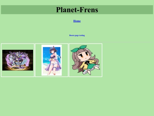 boorupage screenshot