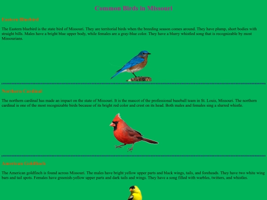 birds screenshot