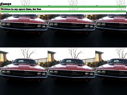 essays screenshot